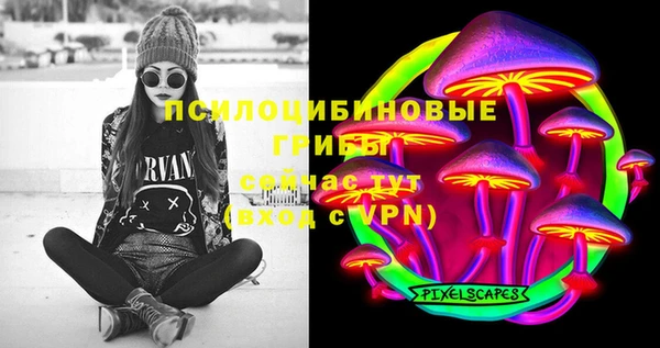 дурь Бронницы