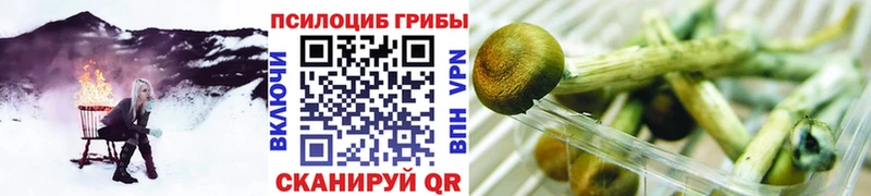 Галлюциногенные грибы Cubensis Алексеевка