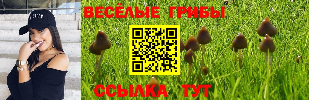 Галлюциногенные грибы Magic Shrooms Алексеевка