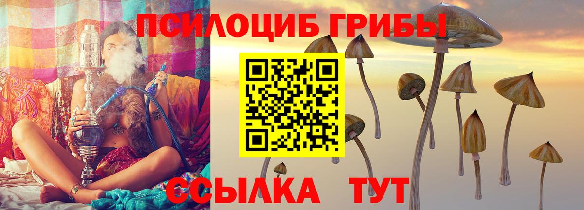 Псилоцибиновые грибы MAGIC MUSHROOMS Алексеевка