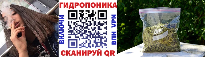 нарко площадка наркотические препараты  Алексеевка  Каннабис гибрид 